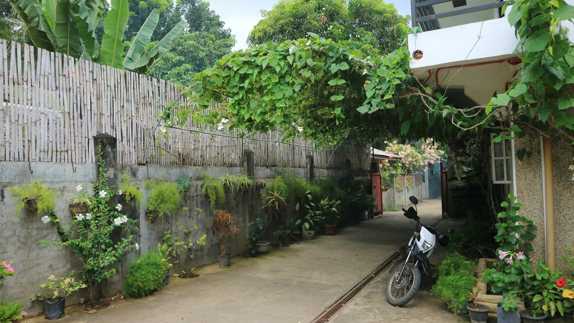 Charm Guest House Puerto Princesa Esterno foto